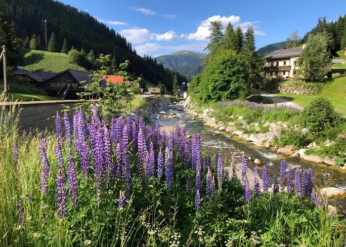 Apartament Berghof Turrach By Interhome Turracher Hohe